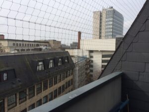 Jamirotec GmbH Bremen Delmenhorst Oldenburg Hamburg Schädlingsbekämpfung Begasungen Holzschutz Beratung Analyse ökologische biologische Schädlingsbekämpfung Reinigung Desinfektion Heißnebelverfahren Motten Tauben Wespen Mäuse Ratten Schaben Marder Eichenprozessionsspinner EPS Zertifizierungsstandards Gesundheit Vermögenswerte Vorratsschutz Kunsterhaltung Schiffsbegasung Gebäudedurjamirotec Bremen Delmenhorst Oldenburg Hamburg Schädlingsbekämpfung Begasungen Holzschutz Beratung Analyse ökologische biologische Schädlingsbekämpfung Reinigung Desinfektion Heißnebelverfahren Motten Tauben Wespen Mäuse Ratten Schaben Marder Eichenprozessionsspinner (EPS) Zertifizierungsstandards Gesundheit Vermögenswerte Vorratsschutz Kunsterhaltung Schiffsbegasung Gebäudedurchgasung Sackstapelbegasung Containerbegasung Holzhausbegasung Silobegasung Lagerbegasung Rohwarenbegasung Maschinenbegasung Restgasmessungen Vorratsschutzräume Gesundheitsschutzchgasung Sackstapelbegasung Containerbegasung Holzhausbegasung Silobegasung Lagerbegasung Rohwarenbegasung Maschinenbegasung Restgasmessungen Vorratsschutzräume Gesundheitsschutz Treatment Provider BMSB Fumigation Treatment Provider Australien Neuseeland Australia Government GUTcert EcoStep VföS Öko Zertifikat DSV Deutscher Schädlingsbekämpfer-Verband e.V.