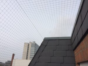 Jamirotec GmbH Bremen Delmenhorst Oldenburg Hamburg Schädlingsbekämpfung Begasungen Holzschutz Beratung Analyse ökologische biologische Schädlingsbekämpfung Reinigung Desinfektion Heißnebelverfahren Motten Tauben Wespen Mäuse Ratten Schaben Marder Eichenprozessionsspinner EPS Zertifizierungsstandards Gesundheit Vermögenswerte Vorratsschutz Kunsterhaltung Schiffsbegasung Gebäudedurjamirotec Bremen Delmenhorst Oldenburg Hamburg Schädlingsbekämpfung Begasungen Holzschutz Beratung Analyse ökologische biologische Schädlingsbekämpfung Reinigung Desinfektion Heißnebelverfahren Motten Tauben Wespen Mäuse Ratten Schaben Marder Eichenprozessionsspinner (EPS) Zertifizierungsstandards Gesundheit Vermögenswerte Vorratsschutz Kunsterhaltung Schiffsbegasung Gebäudedurchgasung Sackstapelbegasung Containerbegasung Holzhausbegasung Silobegasung Lagerbegasung Rohwarenbegasung Maschinenbegasung Restgasmessungen Vorratsschutzräume Gesundheitsschutzchgasung Sackstapelbegasung Containerbegasung Holzhausbegasung Silobegasung Lagerbegasung Rohwarenbegasung Maschinenbegasung Restgasmessungen Vorratsschutzräume Gesundheitsschutz Treatment Provider BMSB Fumigation Treatment Provider Australien Neuseeland Australia Government GUTcert EcoStep VföS Öko Zertifikat DSV Deutscher Schädlingsbekämpfer-Verband e.V.