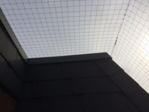 Jamirotec GmbH Bremen Delmenhorst Oldenburg Hamburg Schädlingsbekämpfung Begasungen Holzschutz Beratung Analyse ökologische biologische Schädlingsbekämpfung Reinigung Desinfektion Heißnebelverfahren Motten Tauben Wespen Mäuse Ratten Schaben Marder Eichenprozessionsspinner EPS Zertifizierungsstandards Gesundheit Vermögenswerte Vorratsschutz Kunsterhaltung Schiffsbegasung Gebäudedurjamirotec Bremen Delmenhorst Oldenburg Hamburg Schädlingsbekämpfung Begasungen Holzschutz Beratung Analyse ökologische biologische Schädlingsbekämpfung Reinigung Desinfektion Heißnebelverfahren Motten Tauben Wespen Mäuse Ratten Schaben Marder Eichenprozessionsspinner (EPS) Zertifizierungsstandards Gesundheit Vermögenswerte Vorratsschutz Kunsterhaltung Schiffsbegasung Gebäudedurchgasung Sackstapelbegasung Containerbegasung Holzhausbegasung Silobegasung Lagerbegasung Rohwarenbegasung Maschinenbegasung Restgasmessungen Vorratsschutzräume Gesundheitsschutzchgasung Sackstapelbegasung Containerbegasung Holzhausbegasung Silobegasung Lagerbegasung Rohwarenbegasung Maschinenbegasung Restgasmessungen Vorratsschutzräume Gesundheitsschutz Treatment Provider BMSB Fumigation Treatment Provider Australien Neuseeland Australia Government GUTcert EcoStep VföS Öko Zertifikat DSV Deutscher Schädlingsbekämpfer-Verband e.V.
