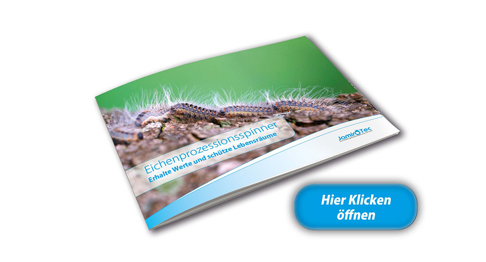 Jamirotec GmbH Bremen Delmenhorst Oldenburg Hamburg Schädlingsbekämpfung Begasungen Holzschutz Beratung Analyse ökologische biologische Schädlingsbekämpfung Reinigung Desinfektion Heißnebelverfahren Motten Tauben Wespen Mäuse Ratten Schaben Marder Eichenprozessionsspinner EPS Zertifizierungsstandards Gesundheit Vermögenswerte Vorratsschutz Kunsterhaltung Schiffsbegasung Gebäudedurjamirotec Bremen Delmenhorst Oldenburg Hamburg Schädlingsbekämpfung Begasungen Holzschutz Beratung Analyse ökologische biologische Schädlingsbekämpfung Reinigung Desinfektion Heißnebelverfahren Motten Tauben Wespen Mäuse Ratten Schaben Marder Eichenprozessionsspinner (EPS) Zertifizierungsstandards Gesundheit Vermögenswerte Vorratsschutz Kunsterhaltung Schiffsbegasung Gebäudedurchgasung Sackstapelbegasung Containerbegasung Holzhausbegasung Silobegasung Lagerbegasung Rohwarenbegasung Maschinenbegasung Restgasmessungen Vorratsschutzräume Gesundheitsschutzchgasung Sackstapelbegasung Containerbegasung Holzhausbegasung Silobegasung Lagerbegasung Rohwarenbegasung Maschinenbegasung Restgasmessungen Vorratsschutzräume Gesundheitsschutz Treatment Provider BMSB Fumigation Treatment Provider Australien Neuseeland Australia Government GUTcert EcoStep VföS Öko Zertifikat DSV Deutscher Schädlingsbekämpfer-Verband e.V.